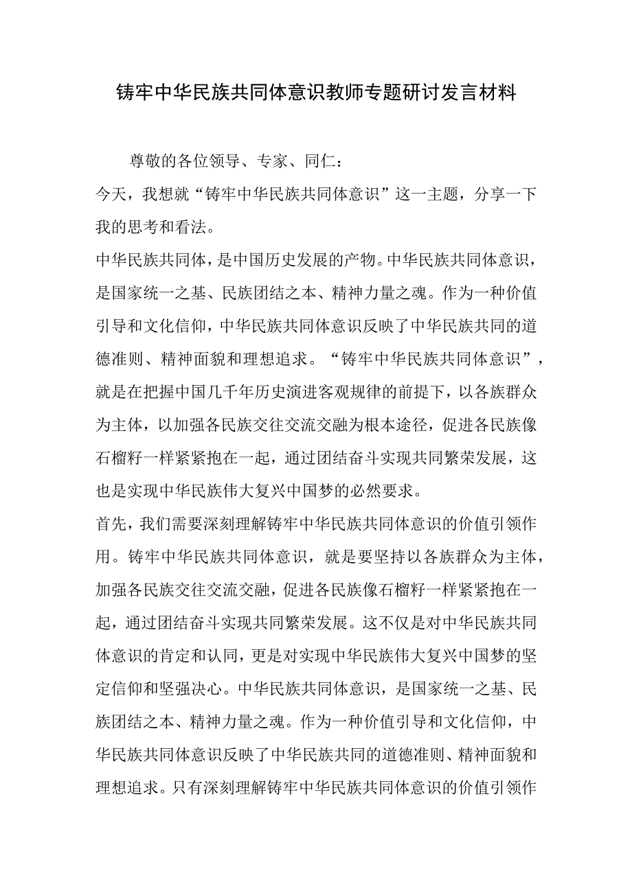 铸牢中华民族共同体意识教师专题研讨发言材料.docx_第1页