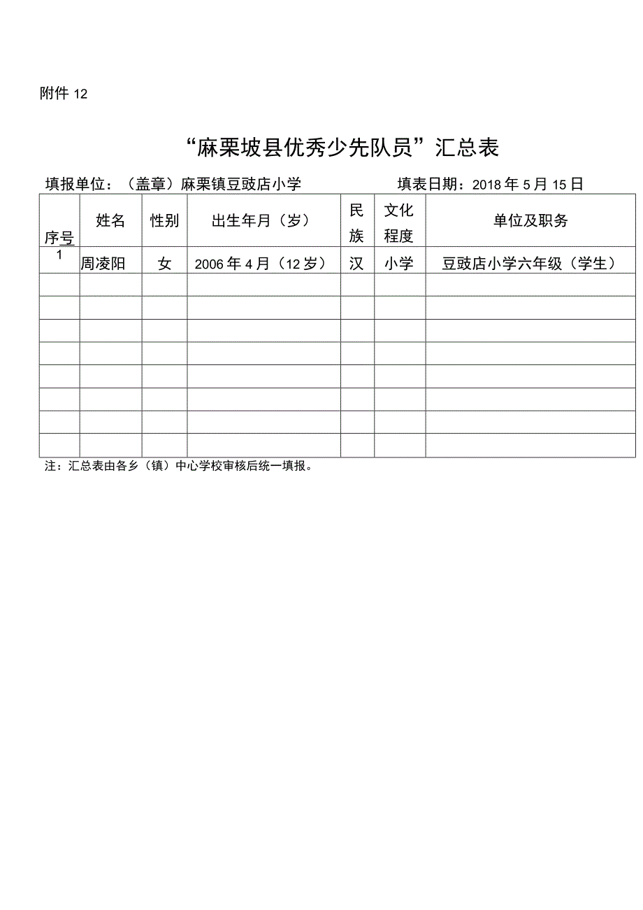 麻栗坡县优秀少先队员汇总表.docx_第1页