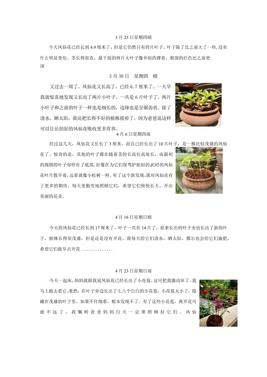 鹿鸣小学+凤仙花成长记+四4班周诗楚公开课教案教学设计课件资料.docx_第2页