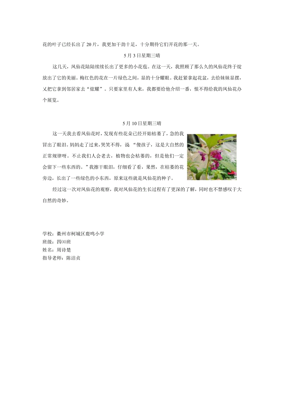 鹿鸣小学+凤仙花成长记+四4班周诗楚公开课教案教学设计课件资料.docx_第3页