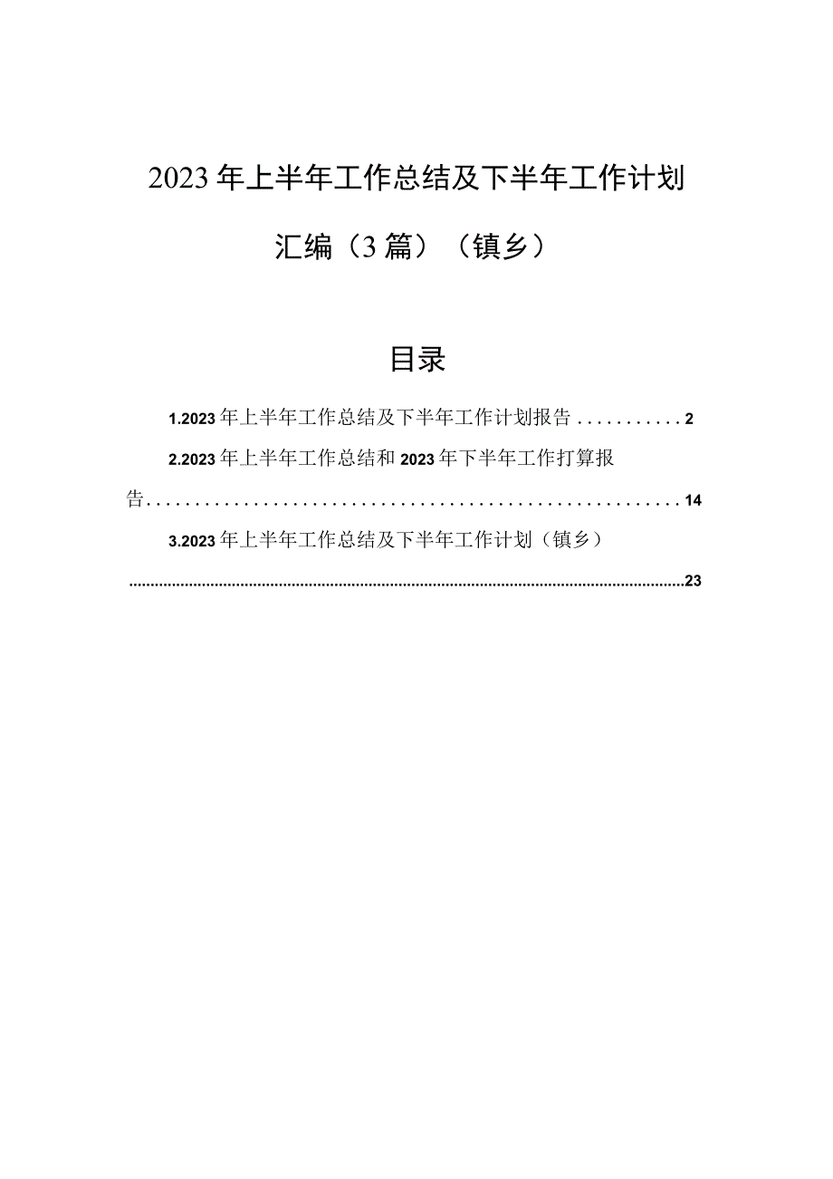 2023年上半年工作总结及下半年工作计划汇编3篇镇乡.docx_第1页