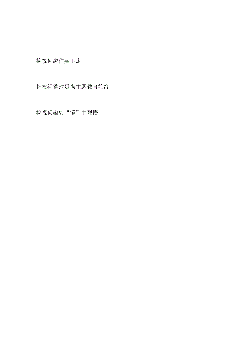 2023年主题教育检视整改问题专题研讨交流发言材料3篇.docx_第1页