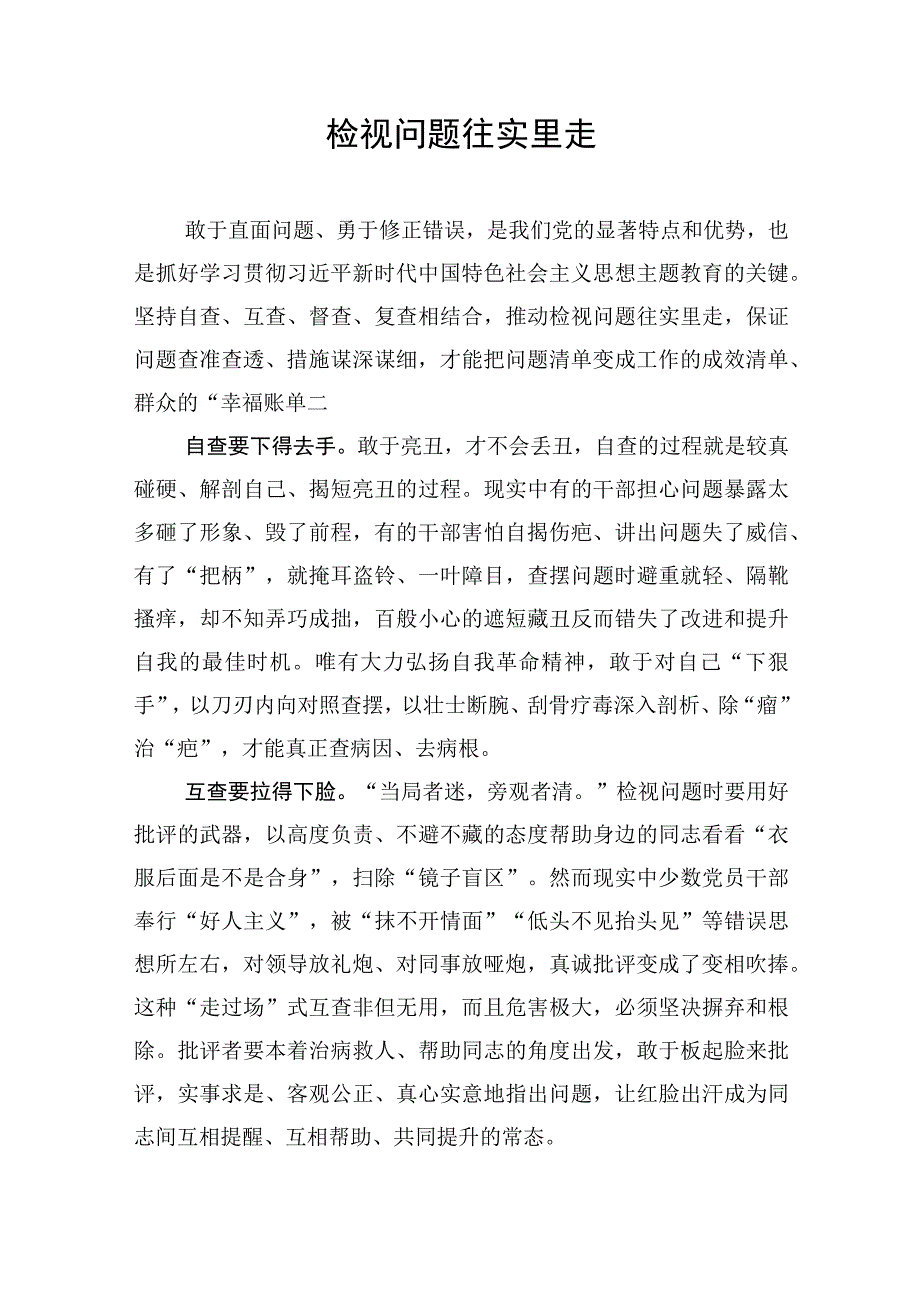 2023年主题教育检视整改问题专题研讨交流发言材料3篇.docx_第2页