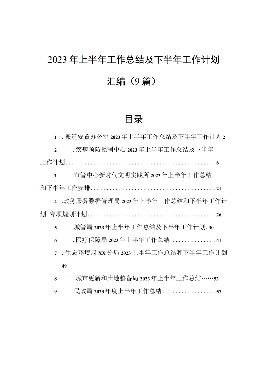 2023年上半年工作总结及下半年工作计划汇编9篇.docx_第1页