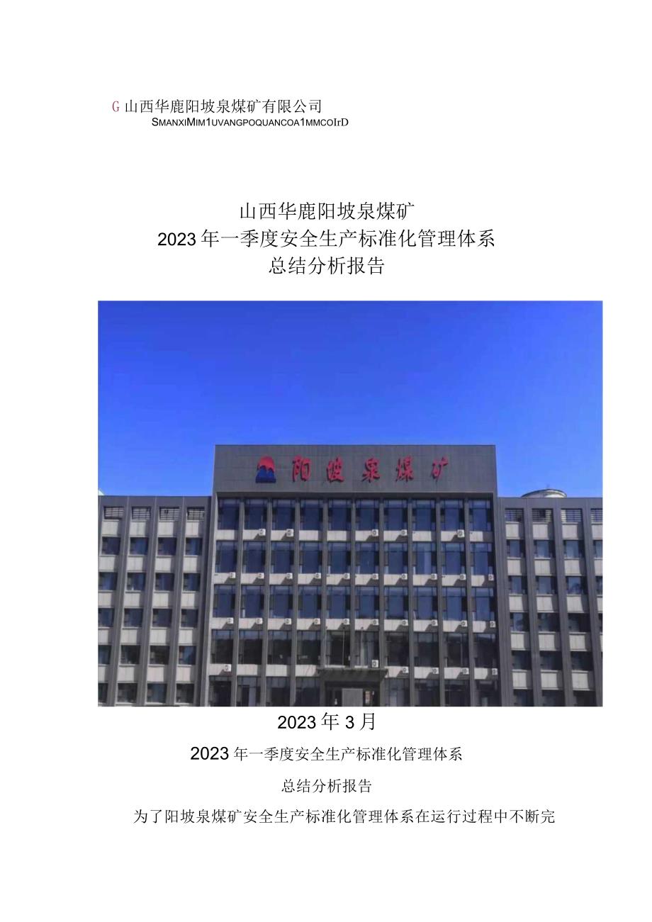 2021年一季度安全生产标准化管理体系总结分析报告.docx_第1页