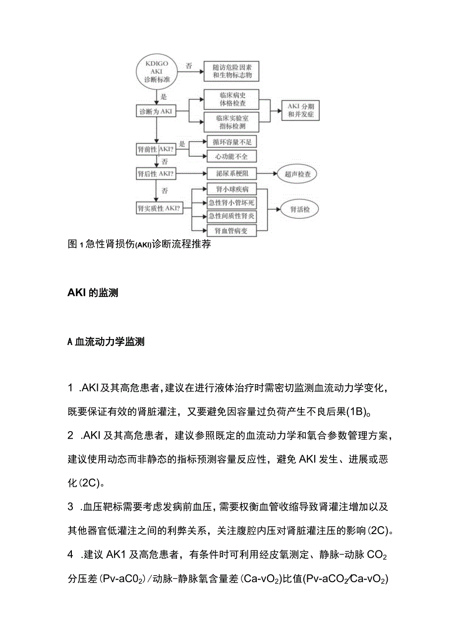 2023急性肾损伤诊疗中国指南意见.docx_第2页