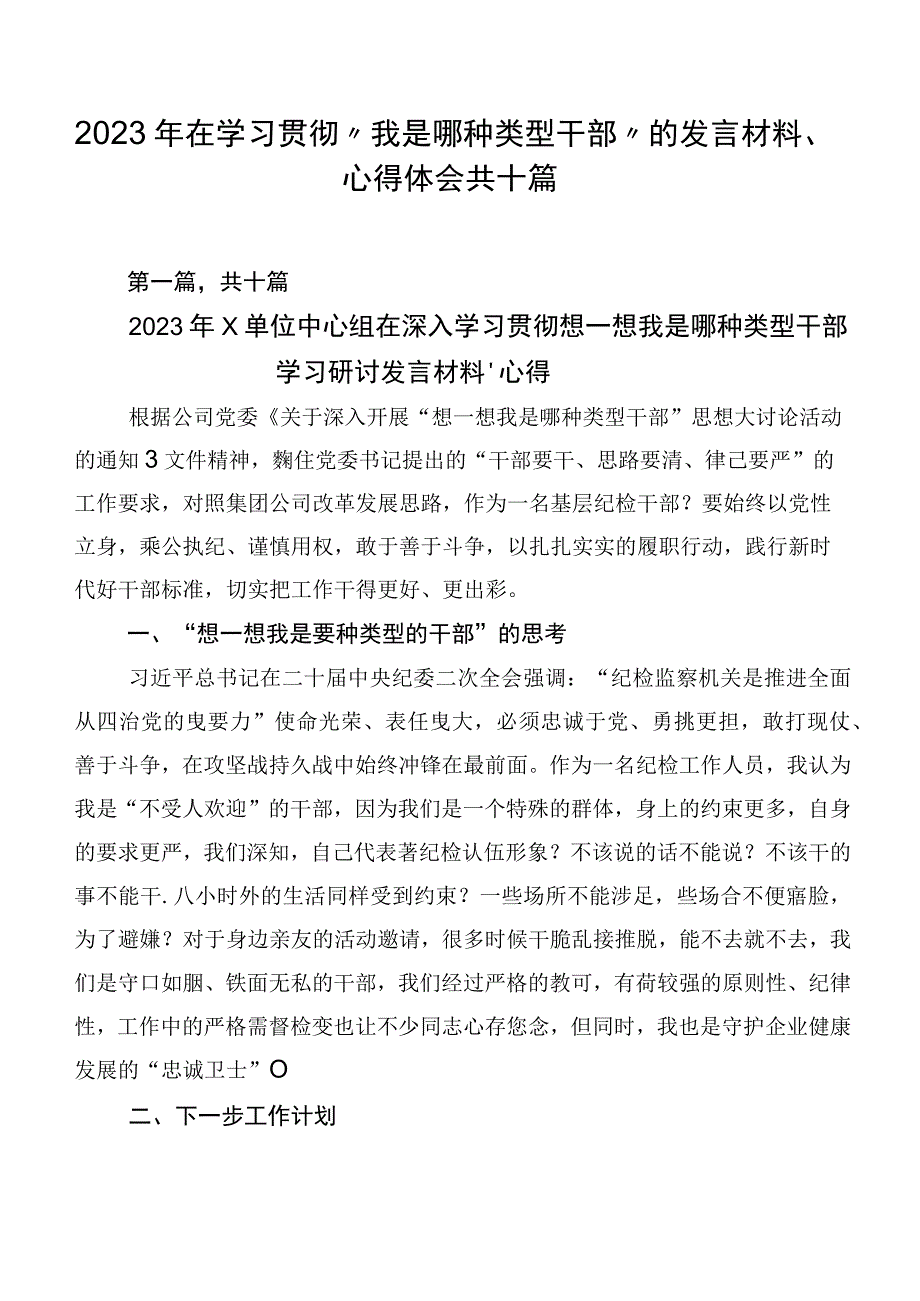 2023年在学习贯彻“我是哪种类型干部”的发言材料、心得体会共十篇.docx_第1页