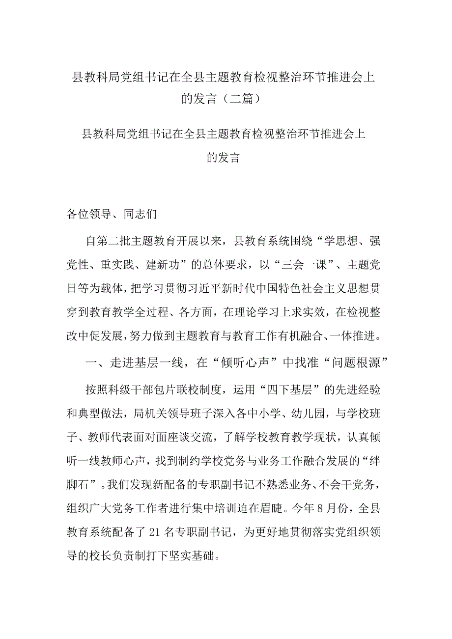 县教科局党组书记在全县主题教育检视整治环节推进会上的发言(二篇).docx_第1页