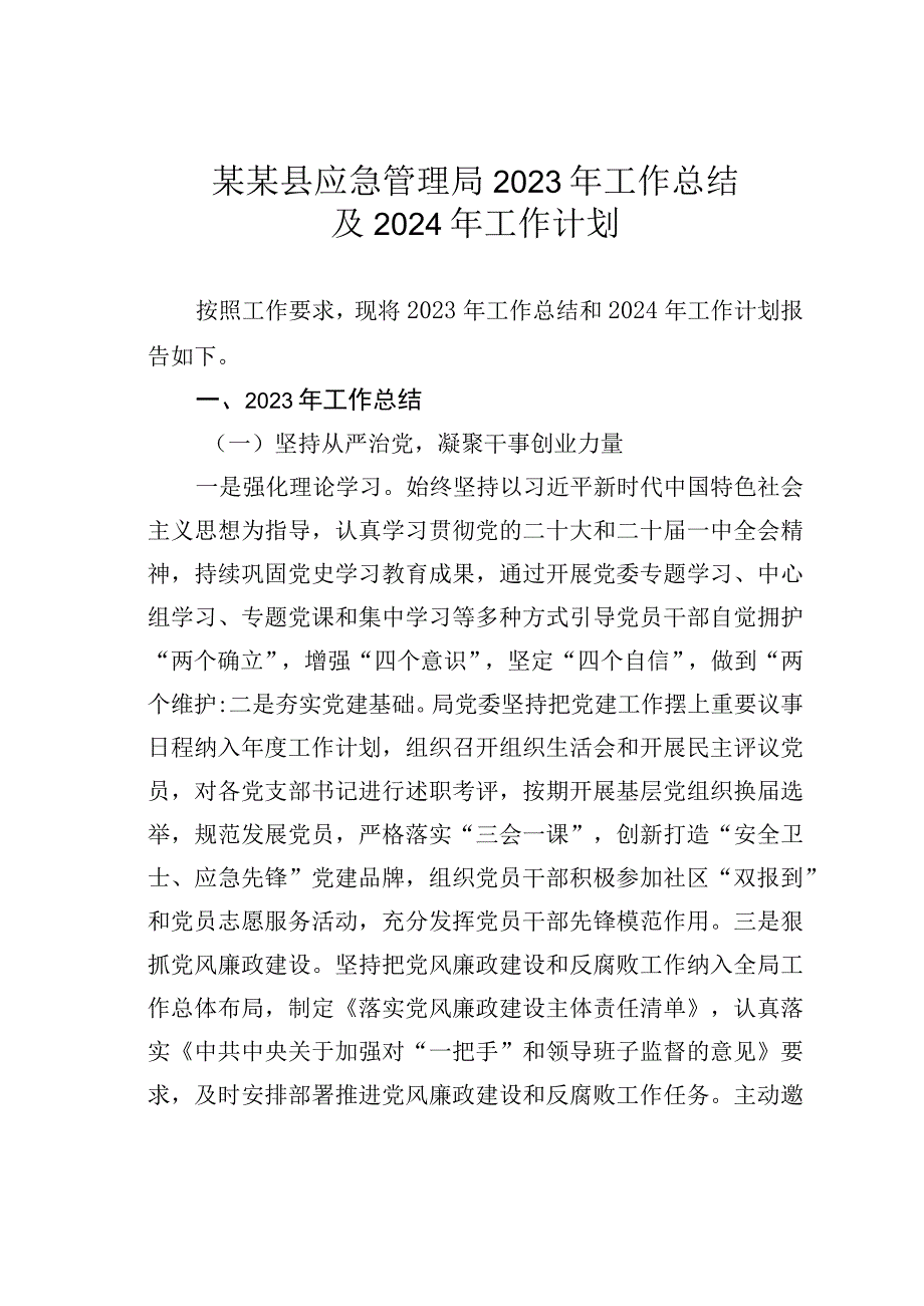 某某县应急管理局2023年工作总结及2024年工作计划.docx_第1页