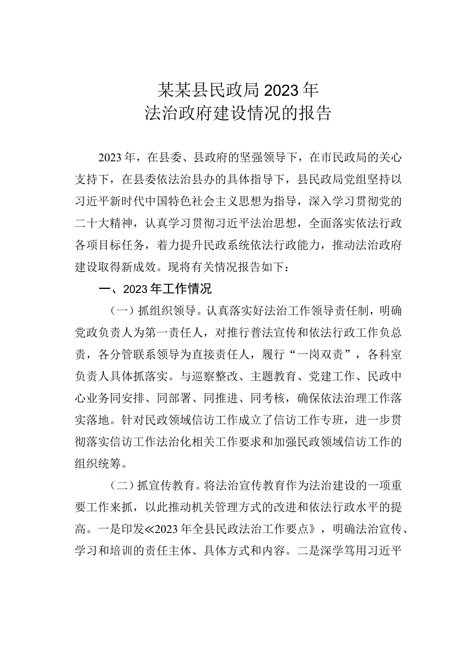 某某县民政局2023年法治政府建设情况的报告.docx_第1页