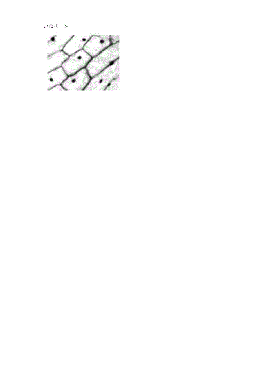 人教鄂教版版五年级上册科学期末检测题.docx_第2页