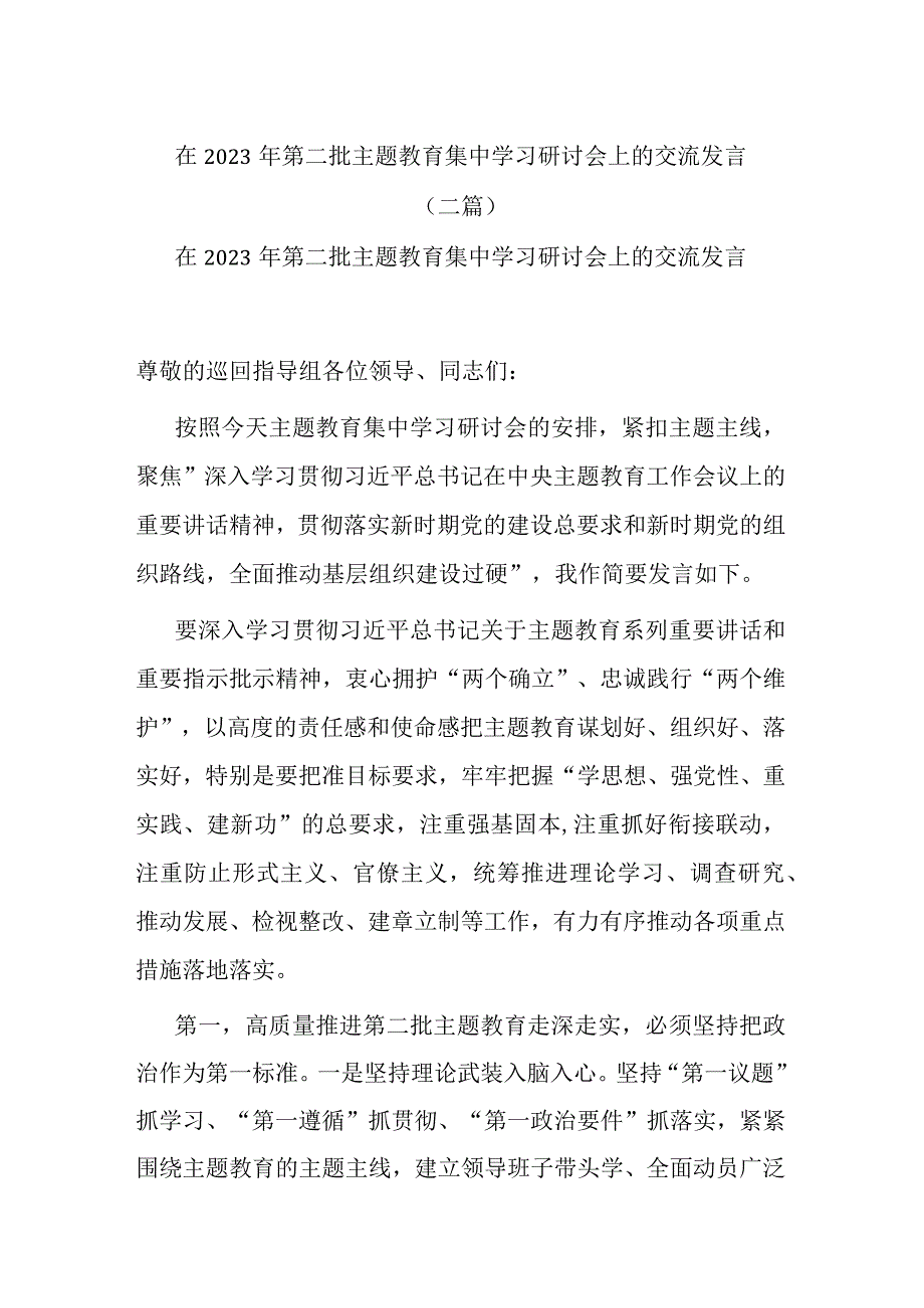 在2023年第二批主题教育集中学习研讨会上的交流发言(二篇).docx_第1页