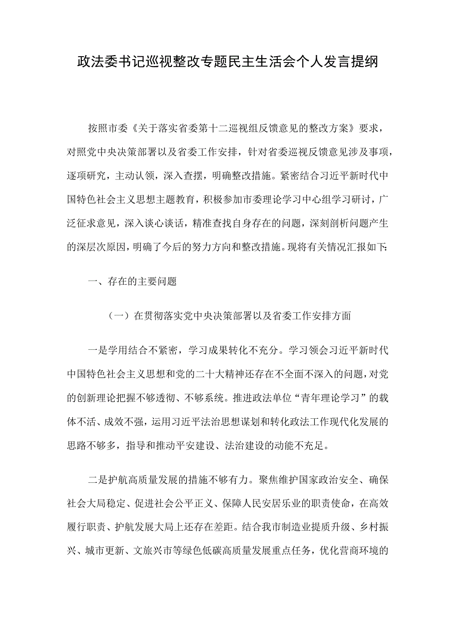 政法委书记巡视整改专题民主生活会个人发言提纲.docx_第1页