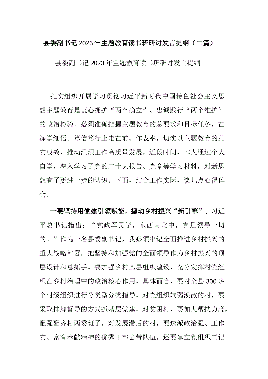 县委副书记2023年主题教育读书班研讨发言提纲(二篇).docx_第1页