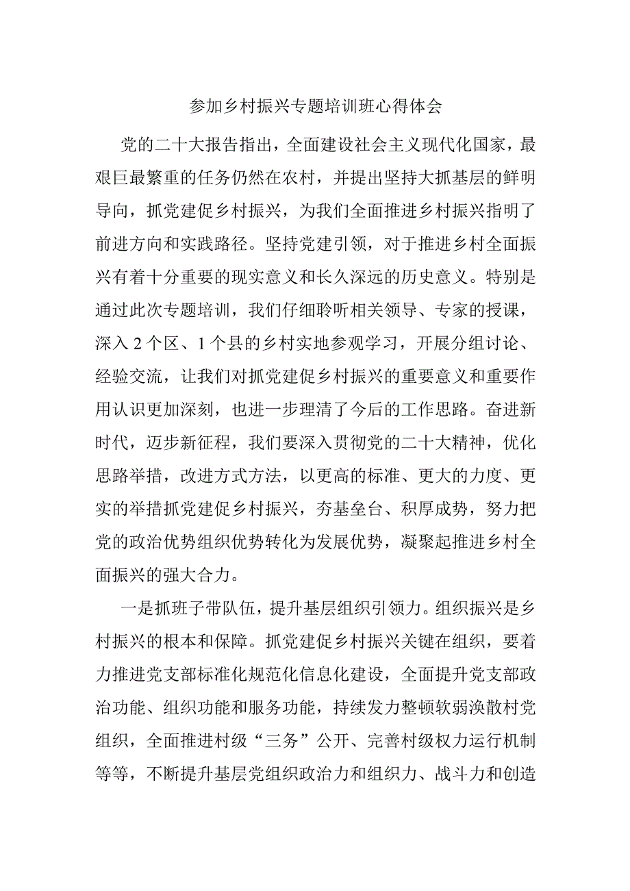 参加乡村振兴专题培训班心得体会.docx_第1页