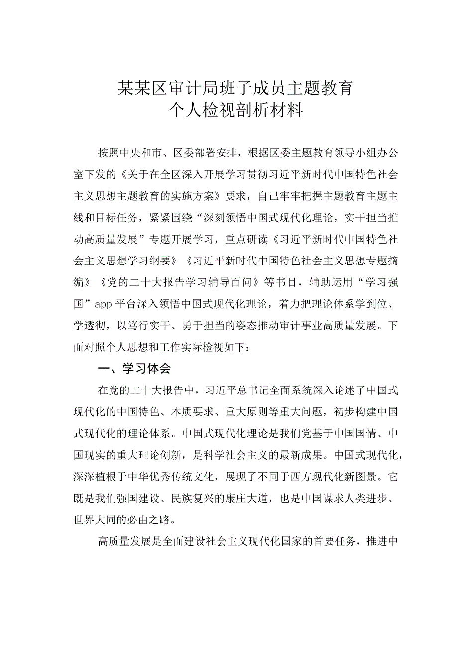 某某区审计局班子成员主题教育个人检视剖析材料.docx_第1页