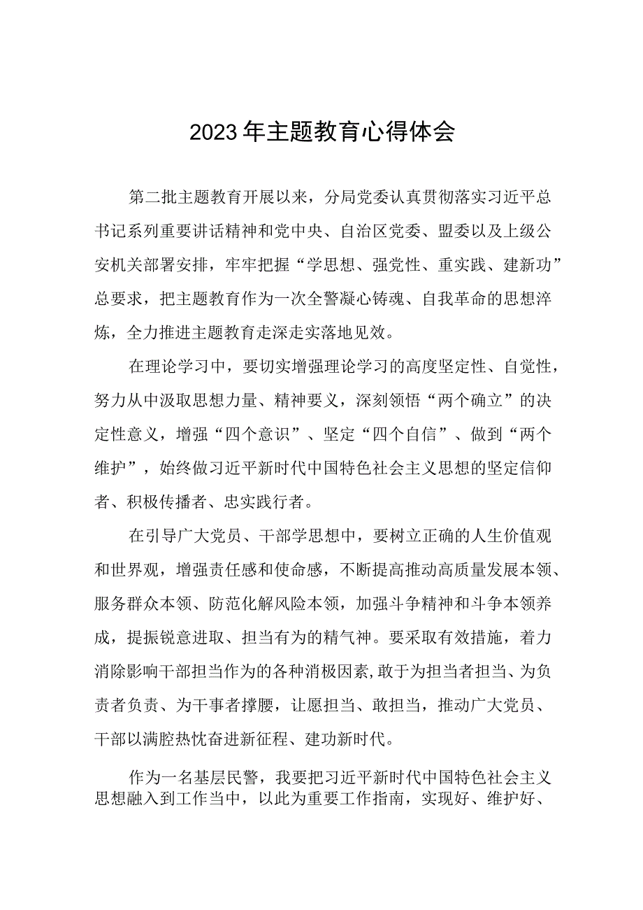 公安民警第二批主题教育学习心得体会十篇.docx_第1页