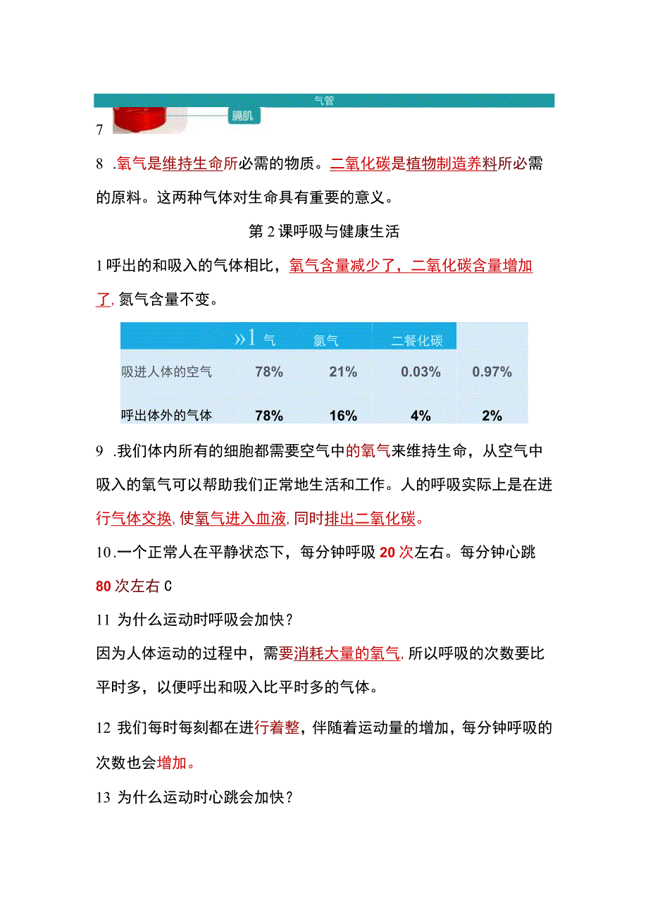 教科版四年级科学上册-第二单元《呼吸与消化》知识点.docx_第2页