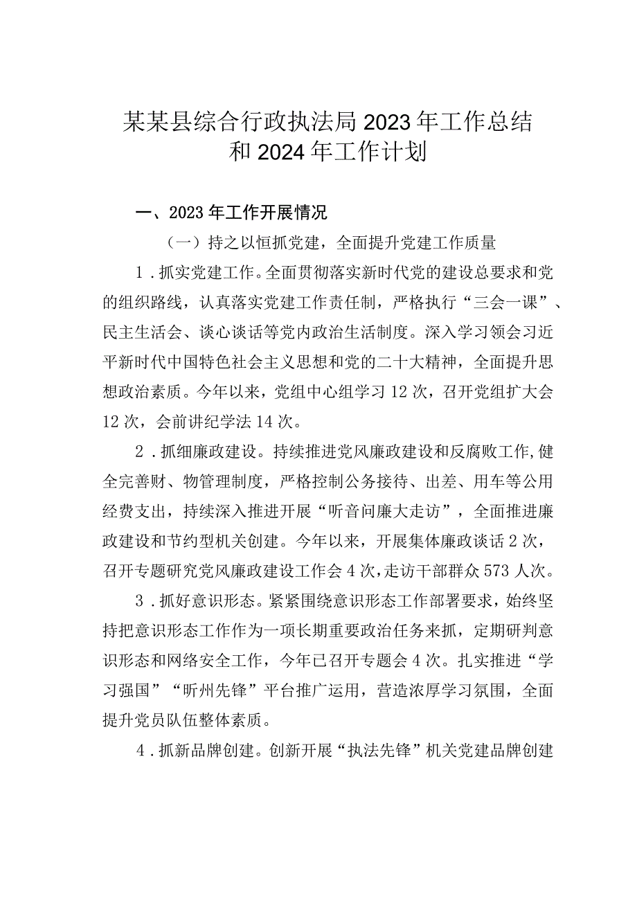 某某县综合行政执法局2023年工作总结和2024年工作计划.docx_第1页