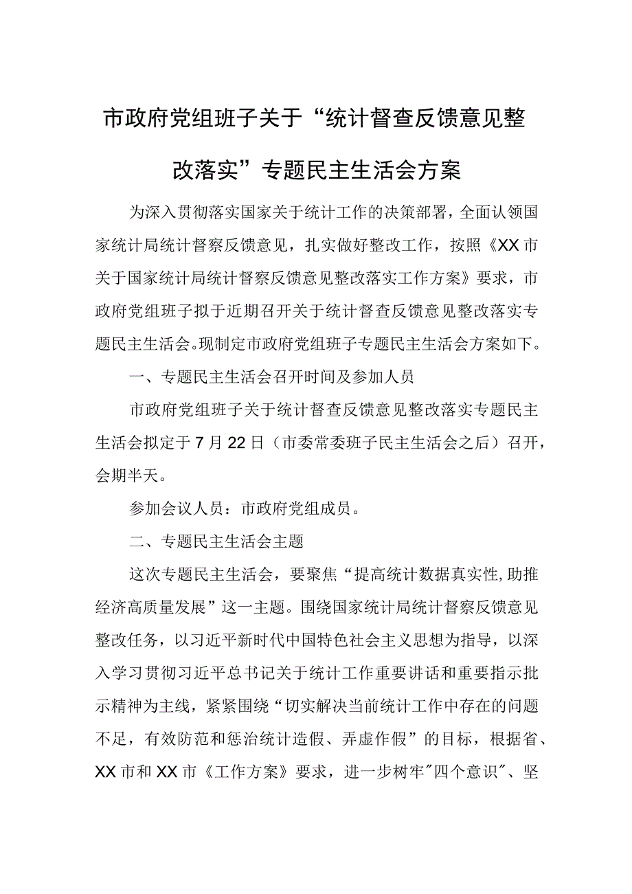 市政府党组班子关于“统计督查反馈意见整改落实”专题民主生活会方案.docx_第1页