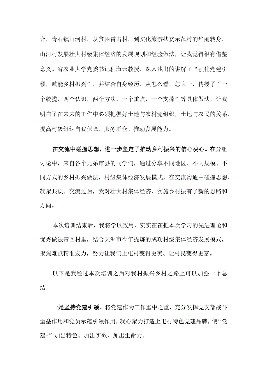 交流发言：坚持党建引领 走稳振兴之路.docx_第2页