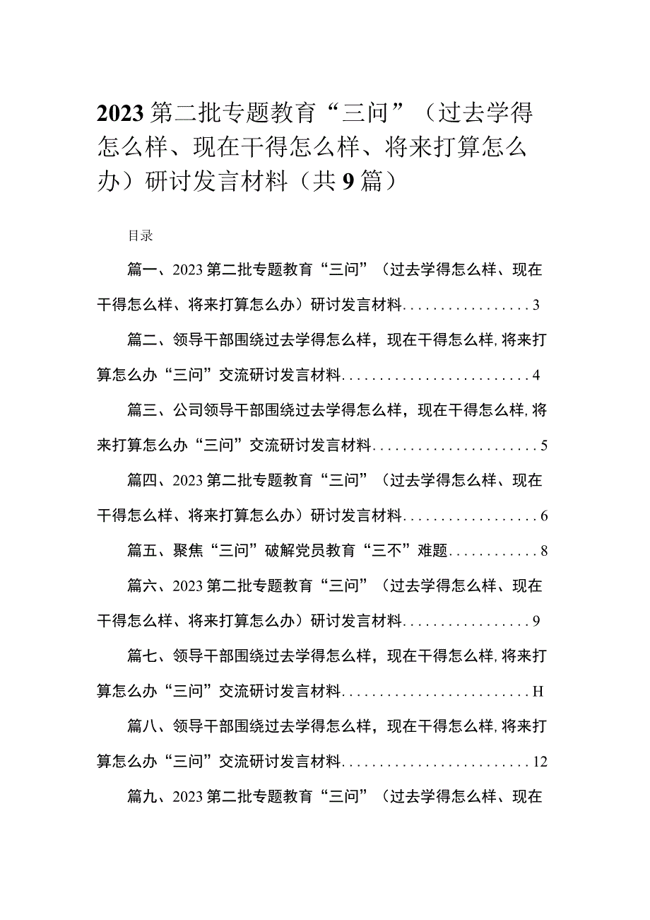 第二批专题教育“三问”（过去学得怎么样、现在干得怎么样、将来打算怎么办）研讨发言材料（共九篇）汇编.docx_第1页