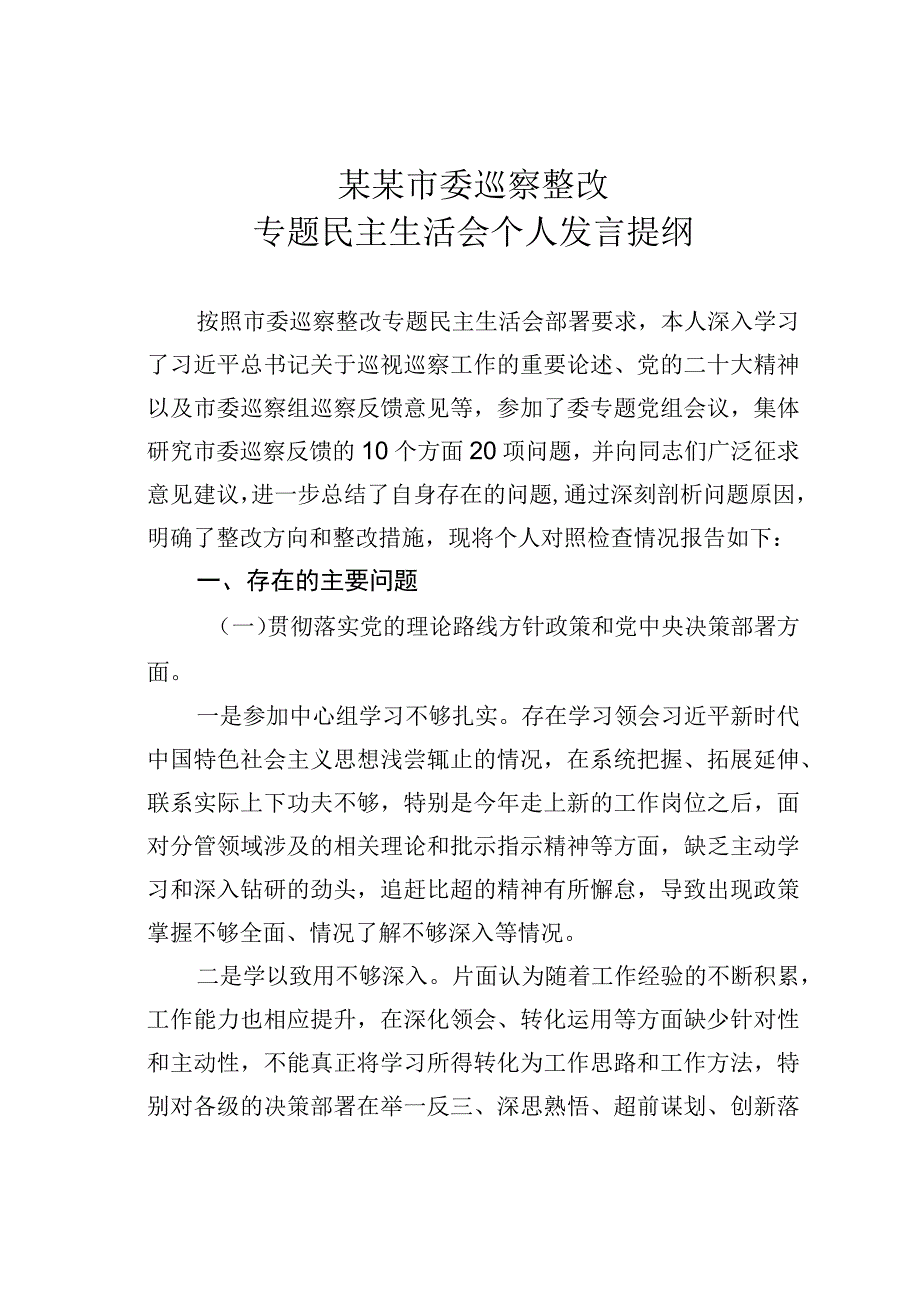 某某市委巡察整改专题民主生活会个人发言提纲.docx_第1页