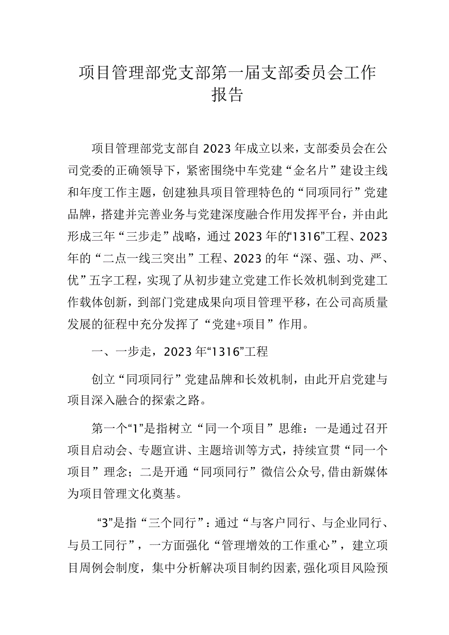 项目管理部党支部第一届支部委员会工作报告.docx_第1页