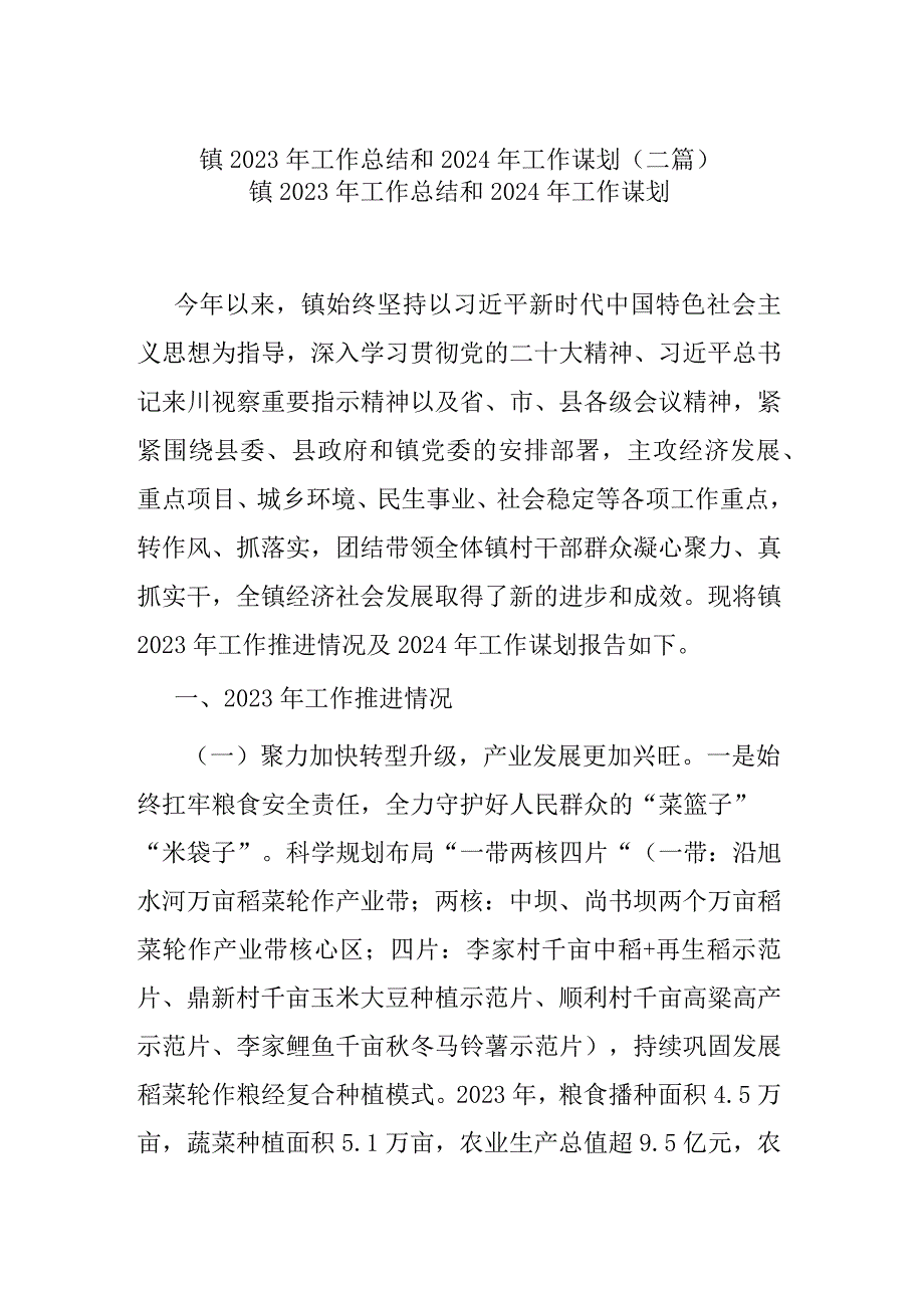 镇2023年工作总结和2024年工作谋划(二篇).docx_第1页