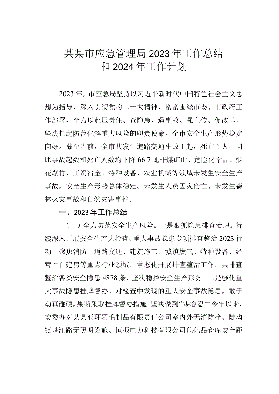 某某市应急管理局2023年工作总结和2024年工作计划.docx_第1页