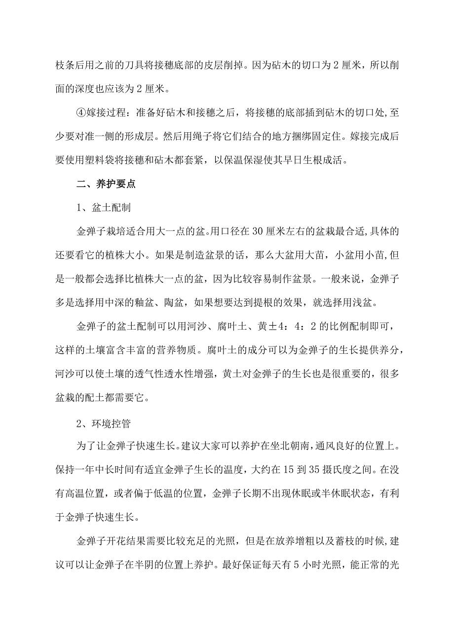 金弹子栽种方法.docx_第3页