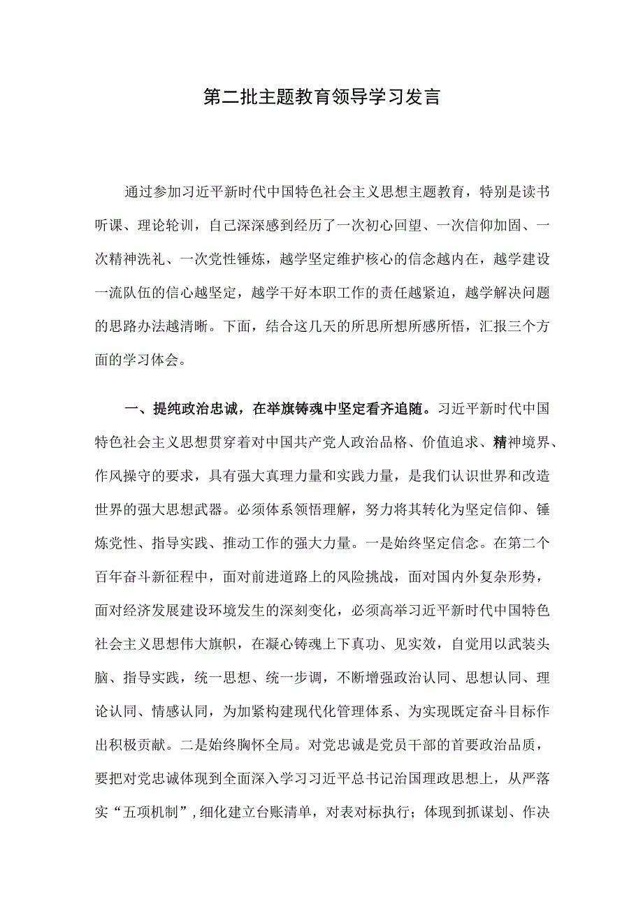 第二批主题教育领导学习发言.docx_第1页