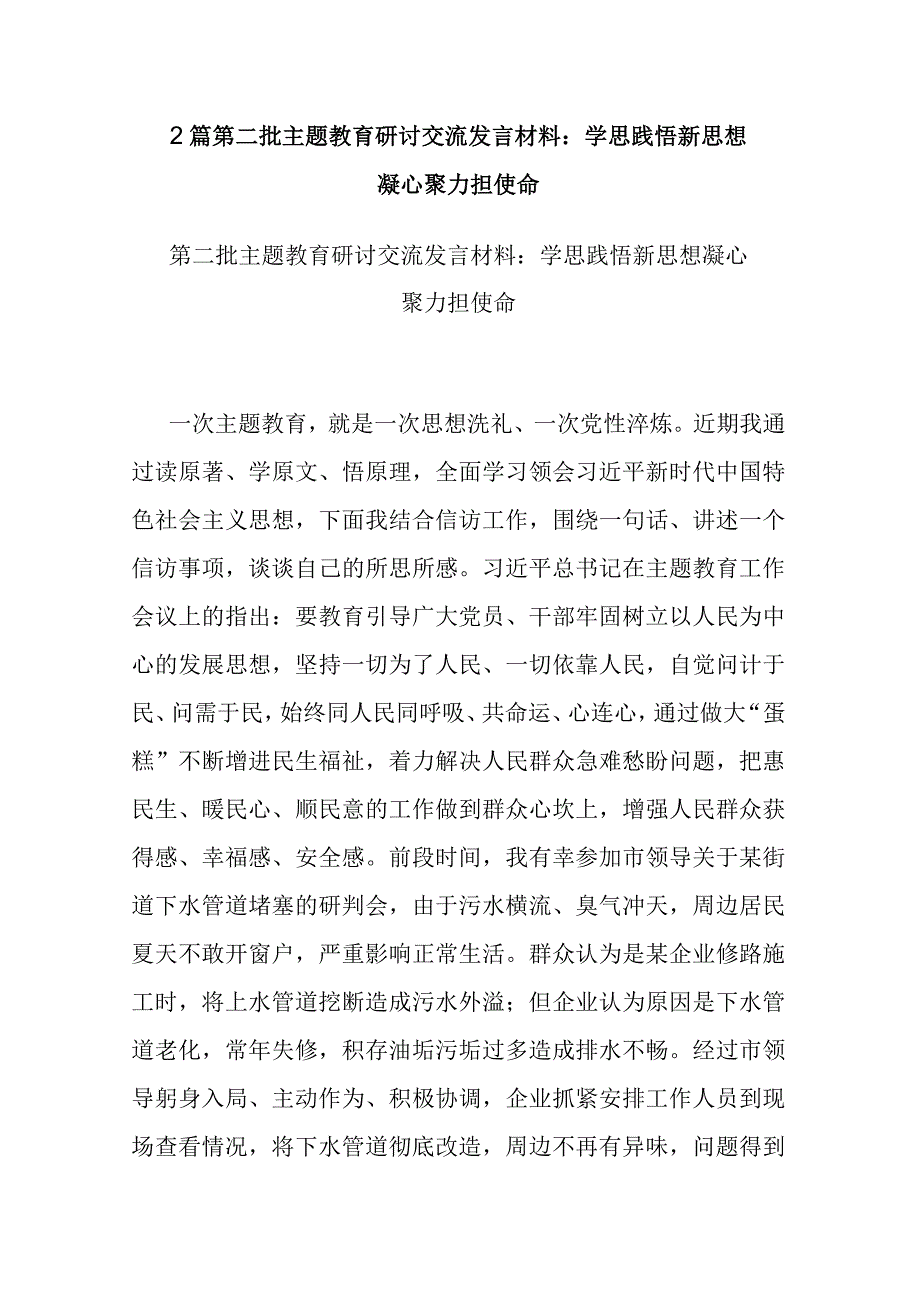 2篇第二批主题教育研讨交流发言材料：学思践悟新思想 凝心聚力担使命.docx_第1页