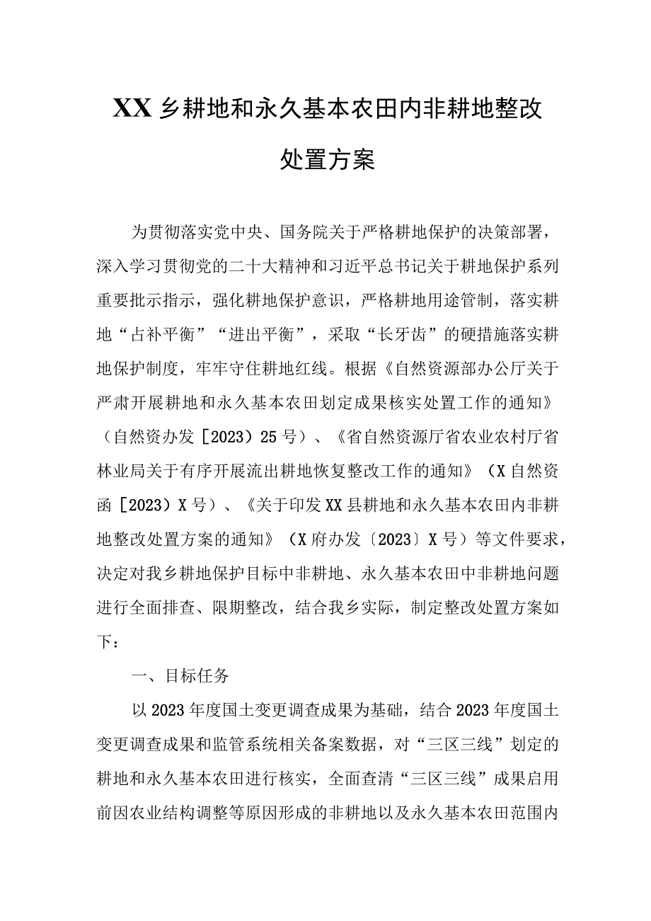 XX乡耕地和永久基本农田内非耕地整改处置方案.docx_第1页