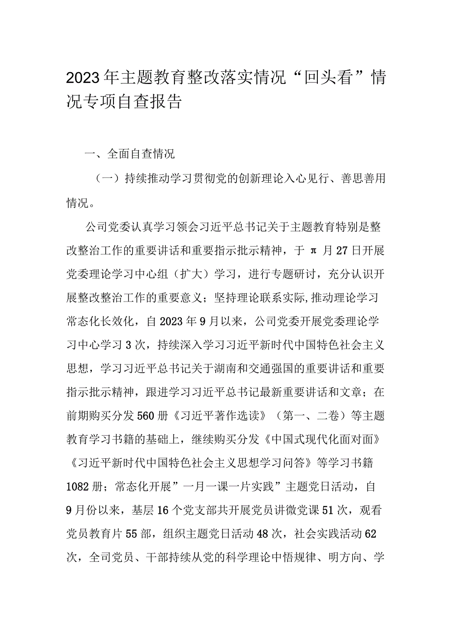 2023年主题教育整改落实情况“回头看”情况专项自查报告.docx_第1页