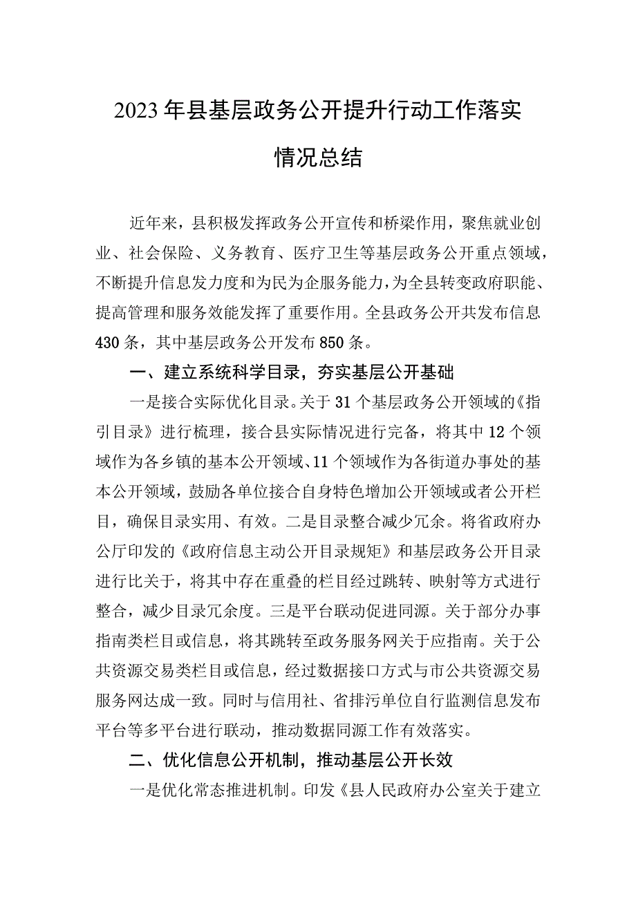 2023年县基层政务公开提升行动工作落实情况总结.docx_第1页