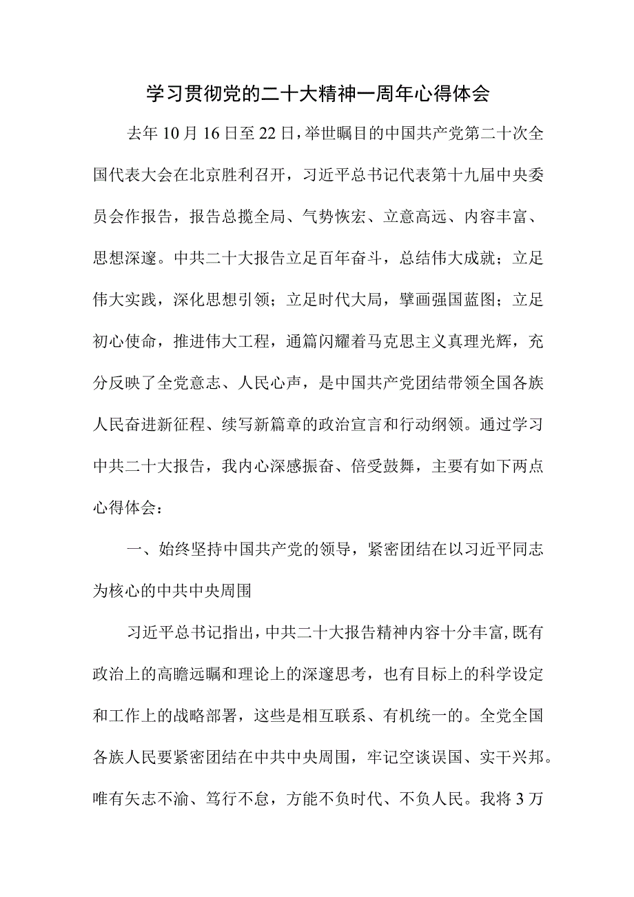 2023年刑侦支队长学习贯彻《党的二十大精神》一周年个人心得体会合计8份.docx_第1页