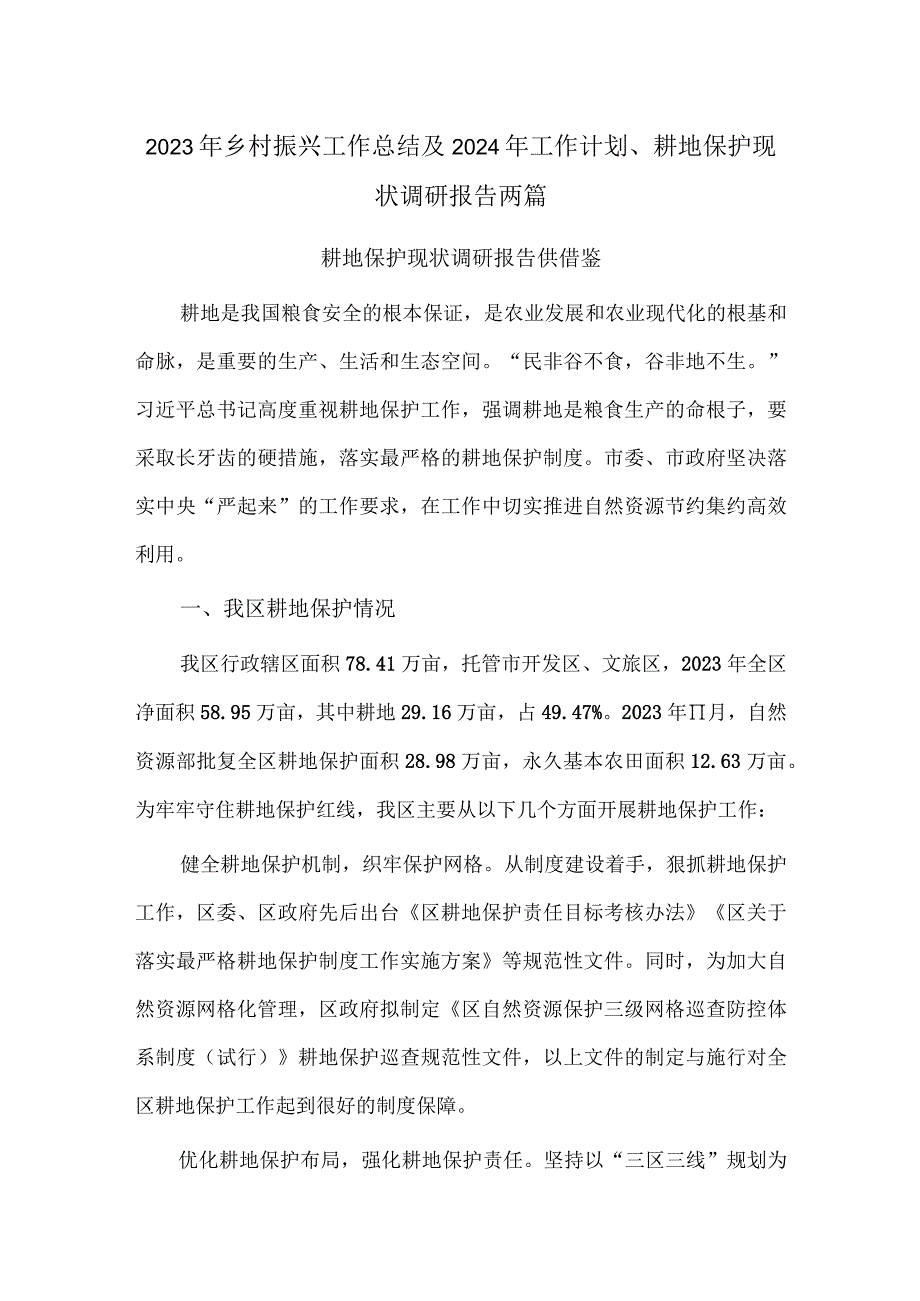 2023年乡村振兴工作总结及2024年工作计划、耕地保护现状调研报告两篇.docx_第1页