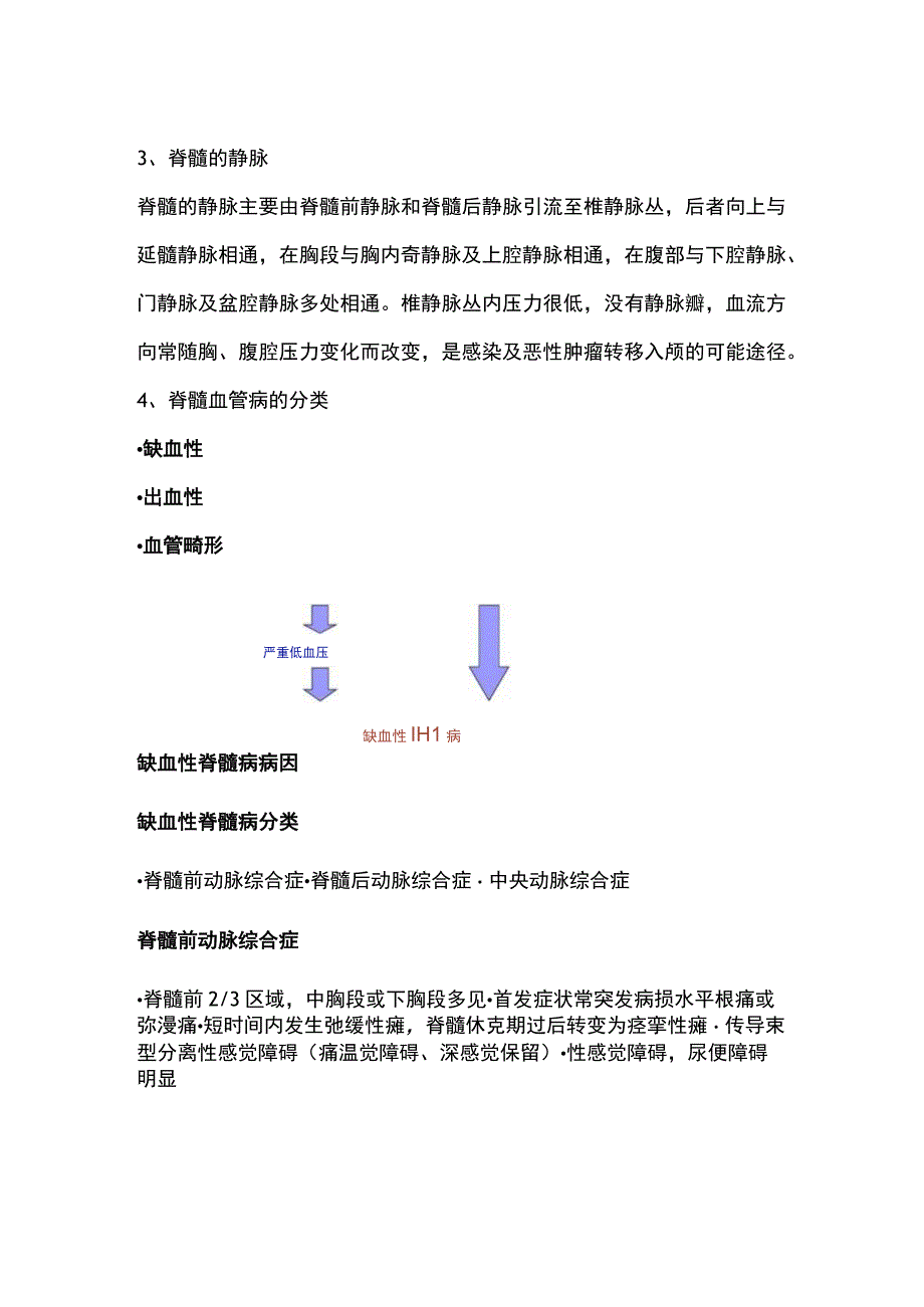 2024脊髓的血管解剖结构、生理功能及相关疾病.docx_第2页