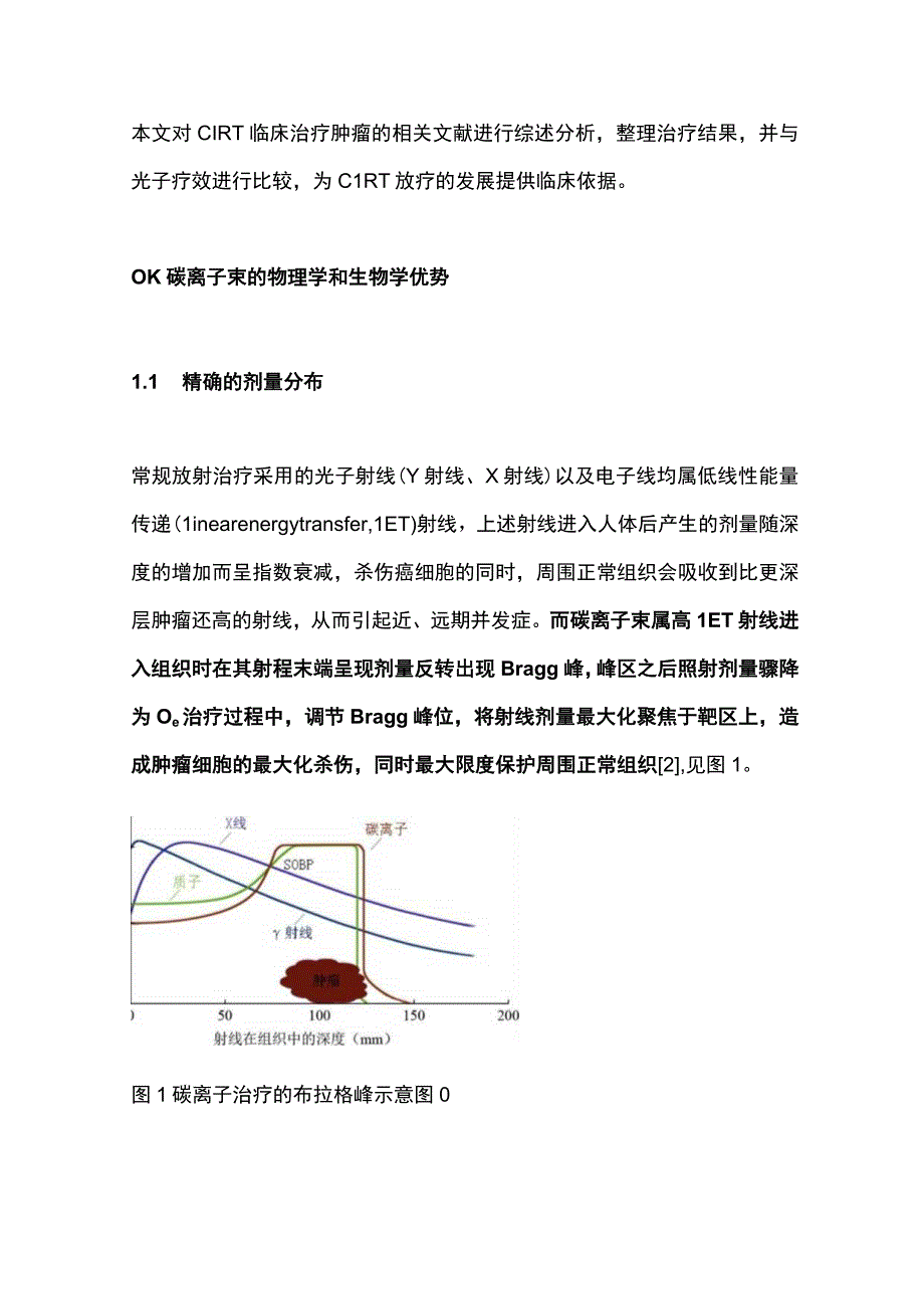 2024碳离子治疗肿瘤的临床进展研究.docx_第2页