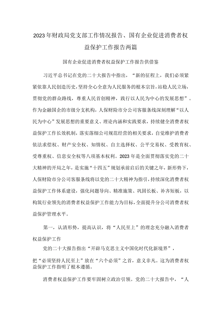 2023年财政局党支部工作情况报告、国有企业促进消费者权益保护工作报告两篇.docx_第1页