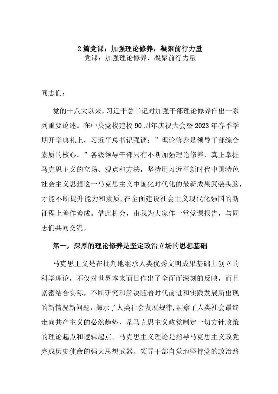 2篇党课：加强理论修养凝聚前行力量.docx_第1页