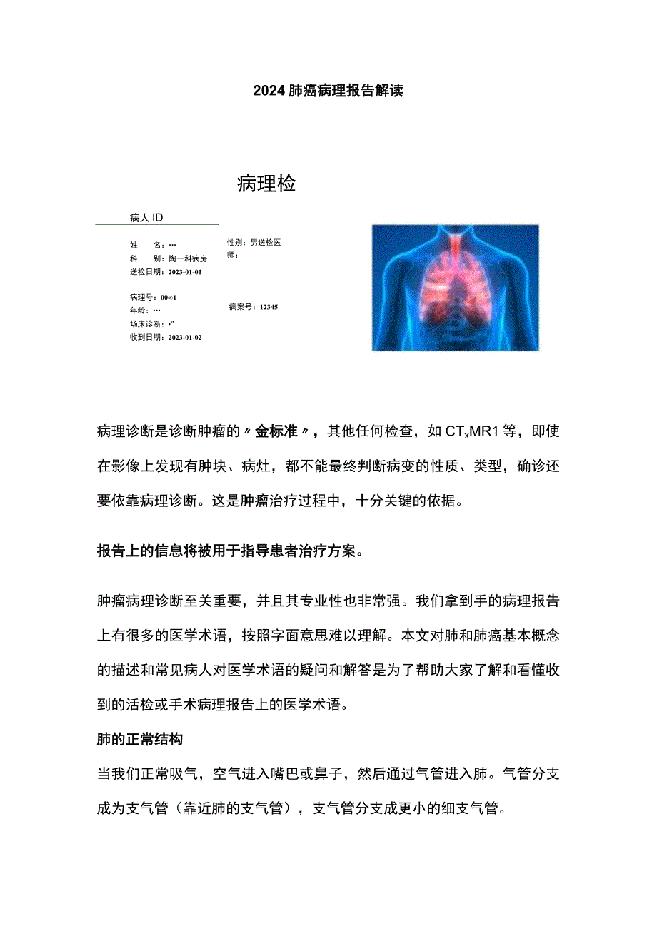 2024肺癌病理报告解读.docx_第1页