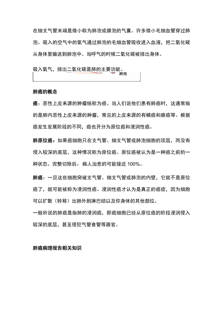 2024肺癌病理报告解读.docx_第2页