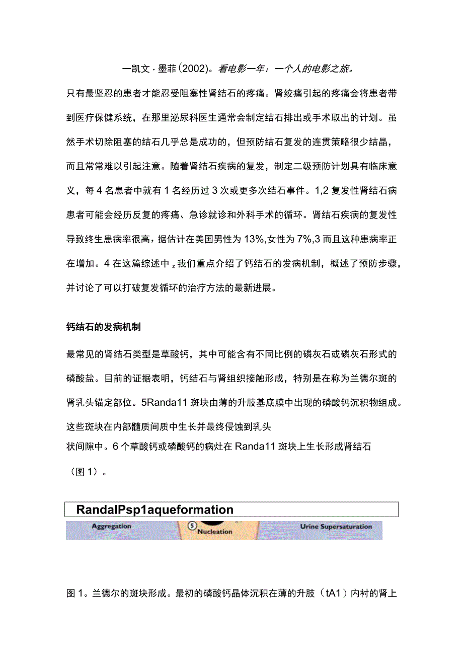 2024复发性钙结石病的循环.docx_第2页