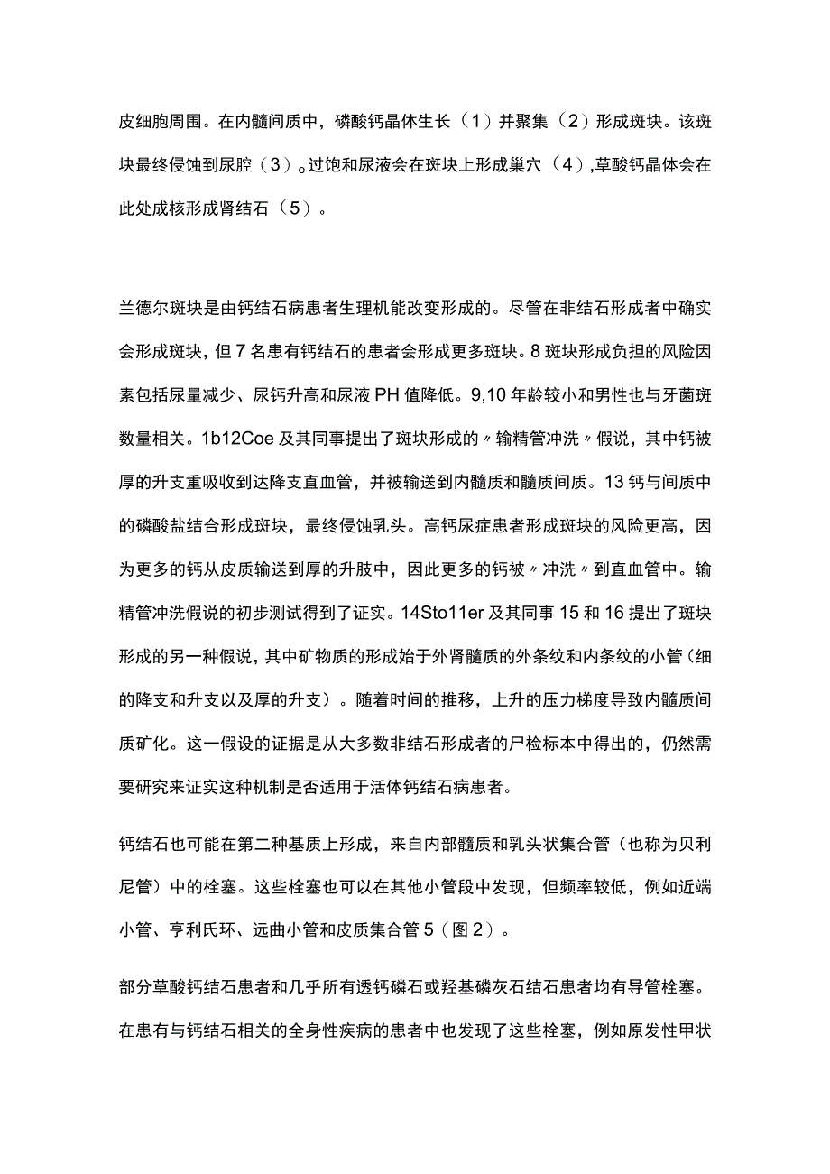 2024复发性钙结石病的循环.docx_第3页