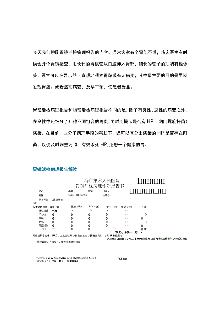 2024胃镜活检病理报告.docx_第1页