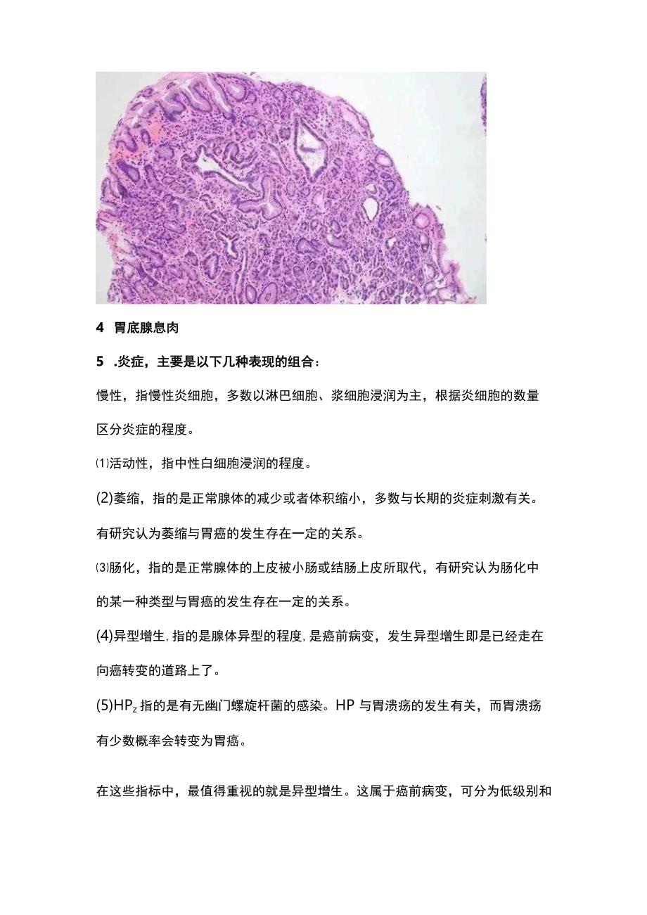 2024胃镜活检病理报告.docx_第3页