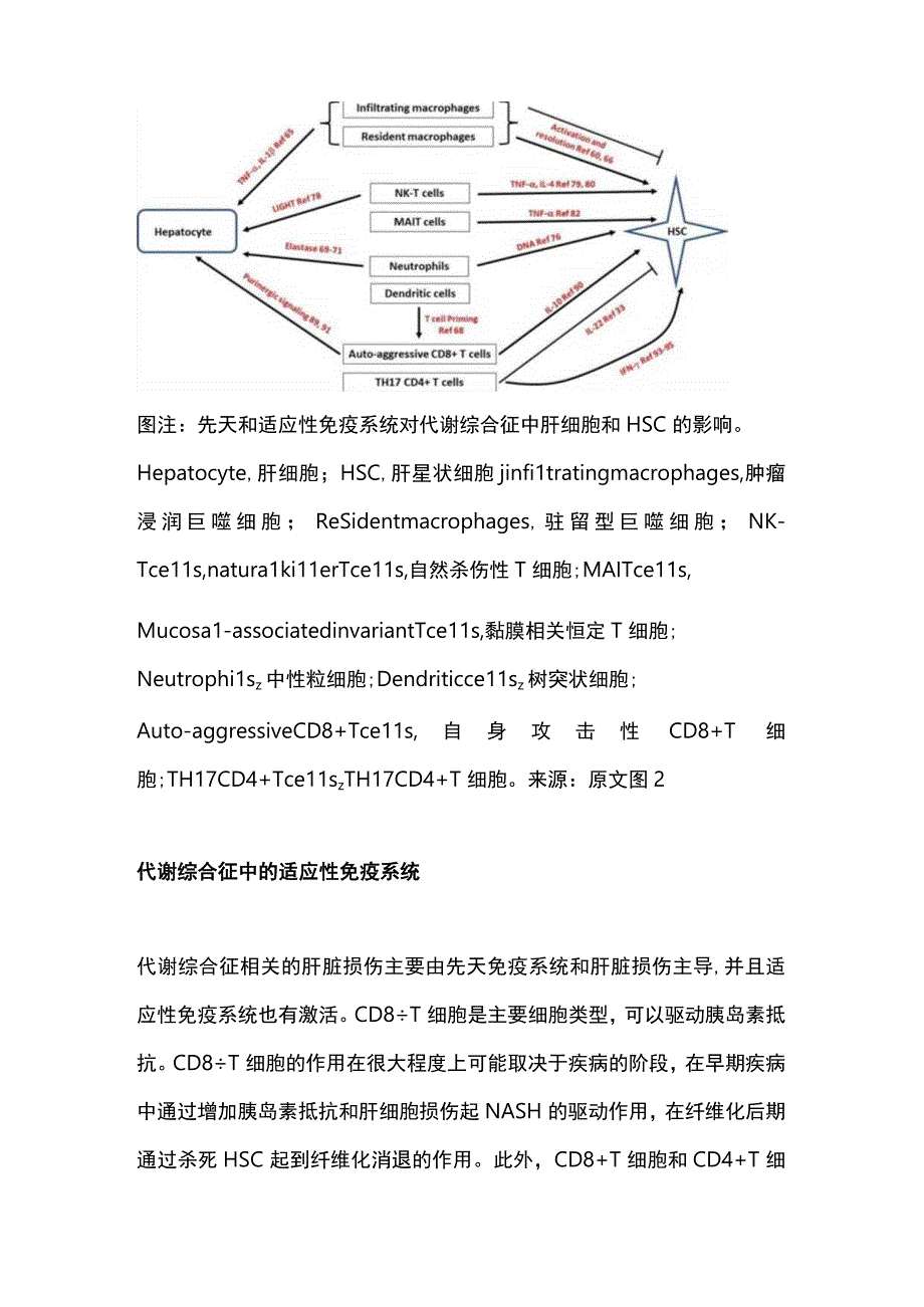 2024代谢综合征中肝纤维化的机制（附图）.docx_第3页