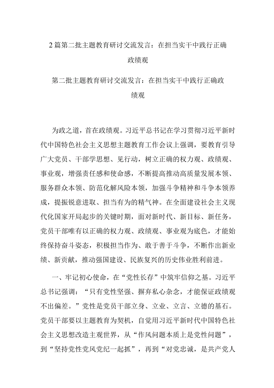 2篇第二批主题教育研讨交流发言：在担当实干中践行正确政绩观.docx_第1页